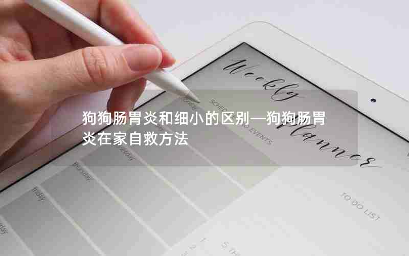 狗狗肠胃炎和细小的区别—狗狗肠胃炎在家自救方法