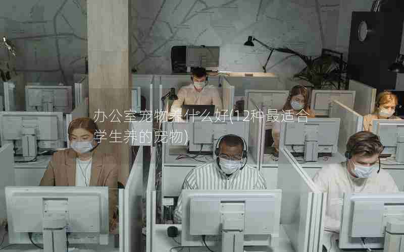 办公室宠物养什么好(12种最适合学生养的宠物)