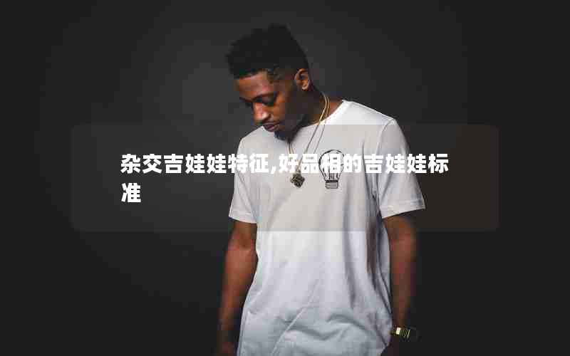 杂交吉娃娃特征,好品相的吉娃娃标准