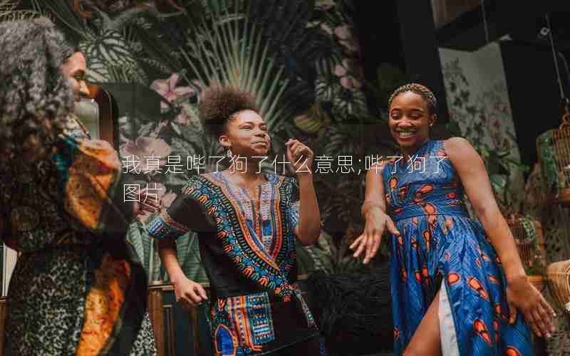 我真是哔了狗了什么意思;哔了狗了图片