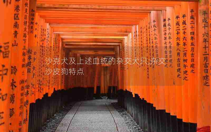 沙克犬及上述血统的杂交犬只;杂交沙皮狗特点