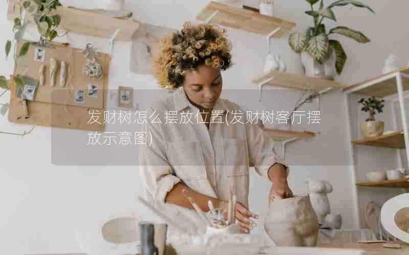 发财树怎么摆放位置(发财树客厅摆放示意图)