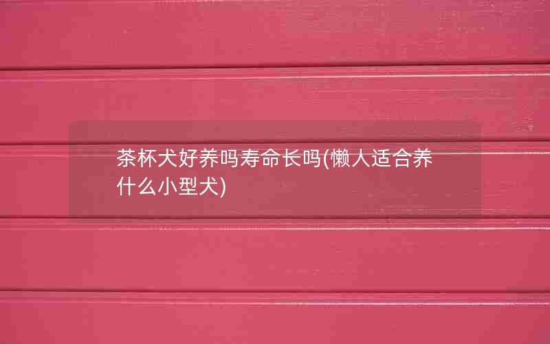 茶杯犬好养吗寿命长吗(懒人适合养什么小型犬)