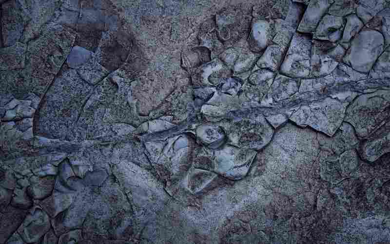 如何在手机上找回删除的视频