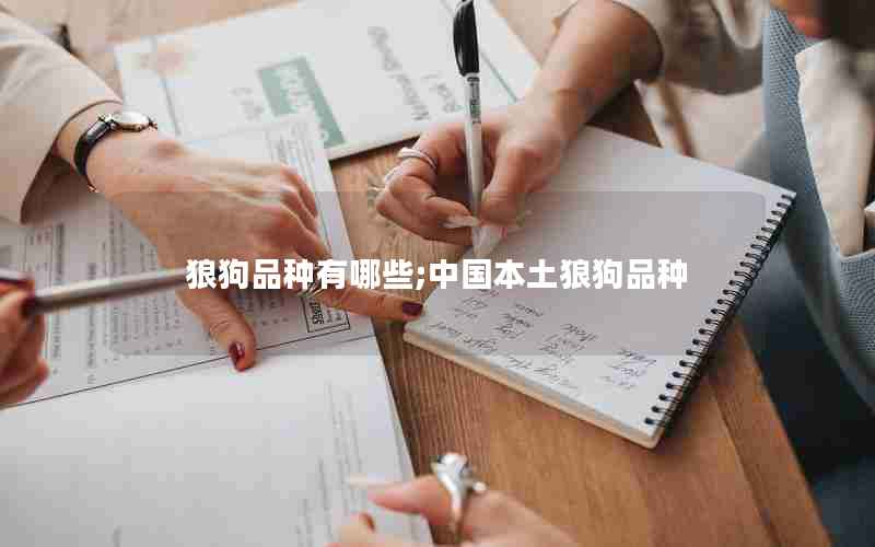 狼狗品种有哪些;中国本土狼狗品种