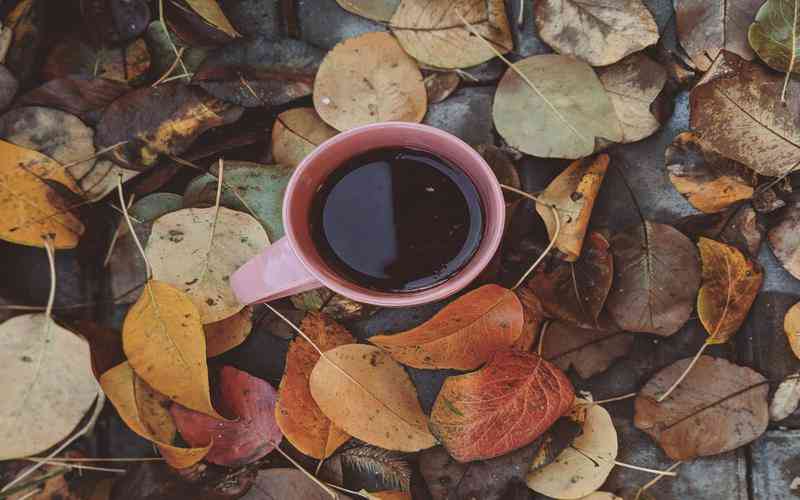 新车漆面质量问题如何进行有效维权