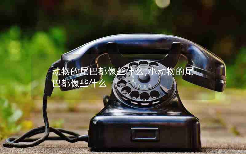 动物的尾巴都像些什么;小动物的尾巴都像些什么