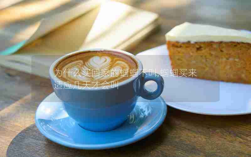 为什么买回家的蝈蝈不叫,蝈蝈买来适应几天才会叫