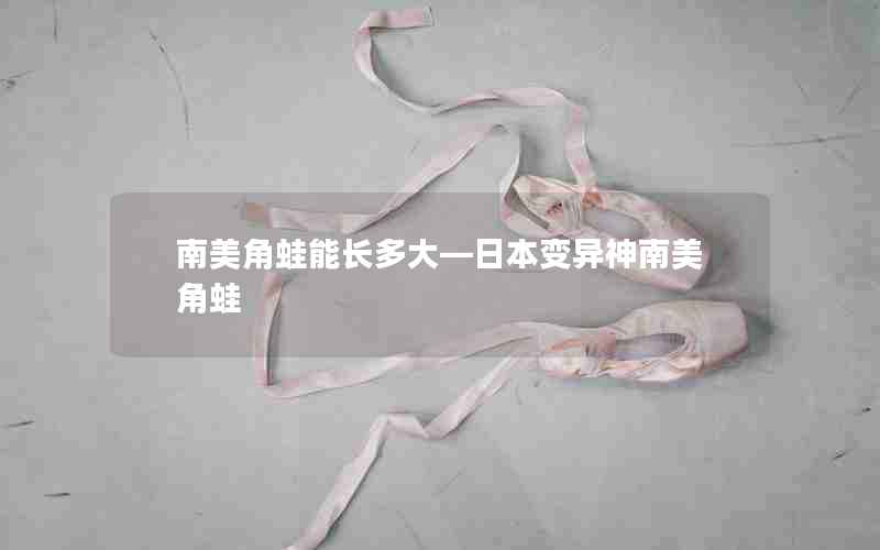 南美角蛙能长多大—日本变异神南美角蛙