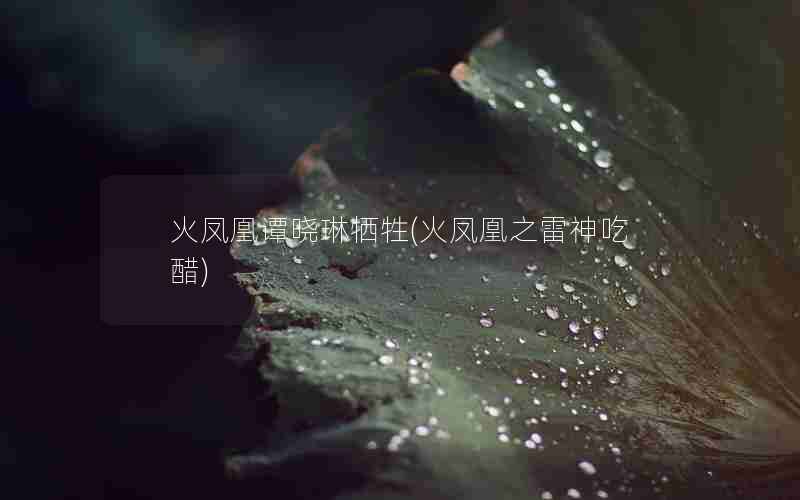 火凤凰谭晓琳牺牲(火凤凰之雷神吃醋)