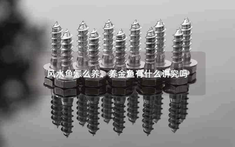 风水鱼怎么养、养金鱼有什么讲究吗