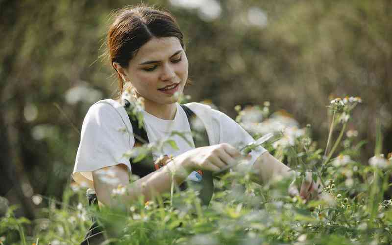 如何设计有效的新员工培训计划