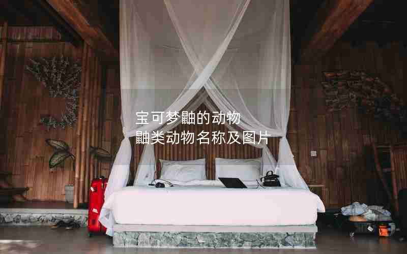 宝可梦鼬的动物 鼬类动物名称及图片