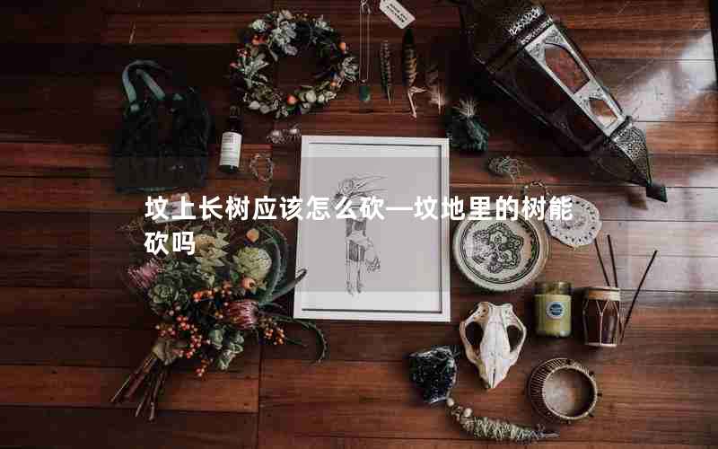 坟上长树应该怎么砍—坟地里的树能砍吗