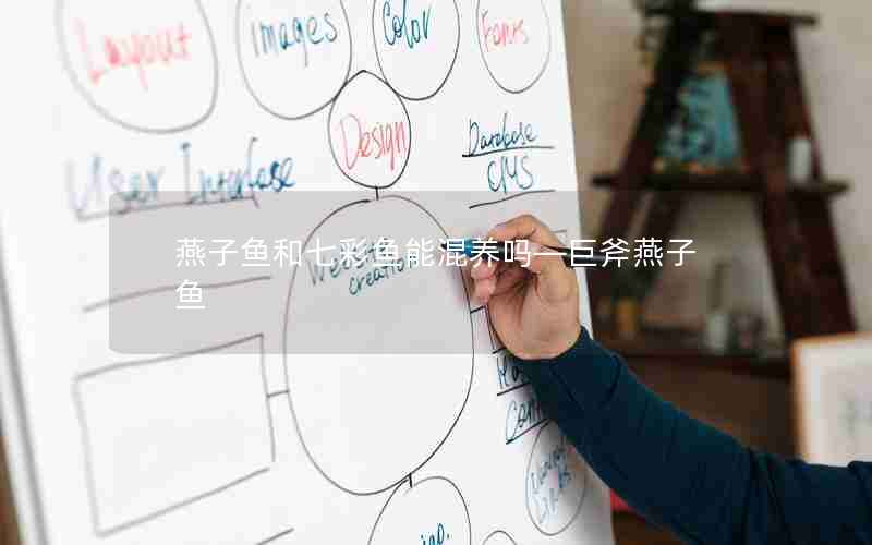 燕子鱼和七彩鱼能混养吗—巨斧燕子鱼