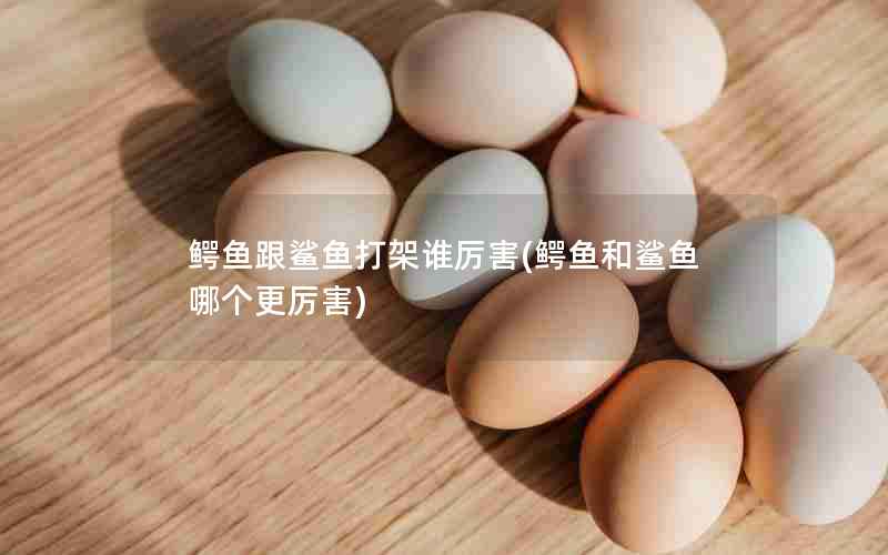 鳄鱼跟鲨鱼打架谁厉害(鳄鱼和鲨鱼哪个更厉害)