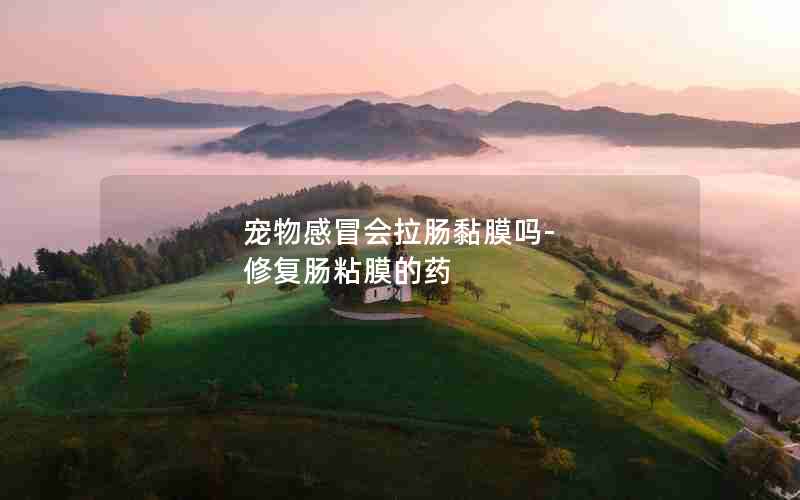 宠物感冒会拉肠黏膜吗-修复肠粘膜的药