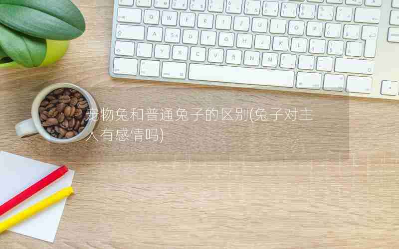 宠物兔和普通兔子的区别(兔子对主人有感情吗)