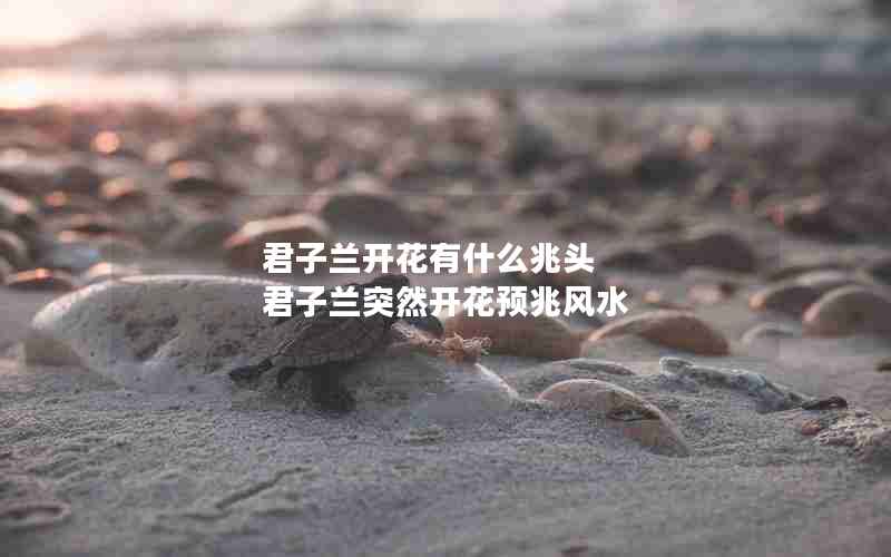 君子兰开花有什么兆头 君子兰突然开花预兆风水