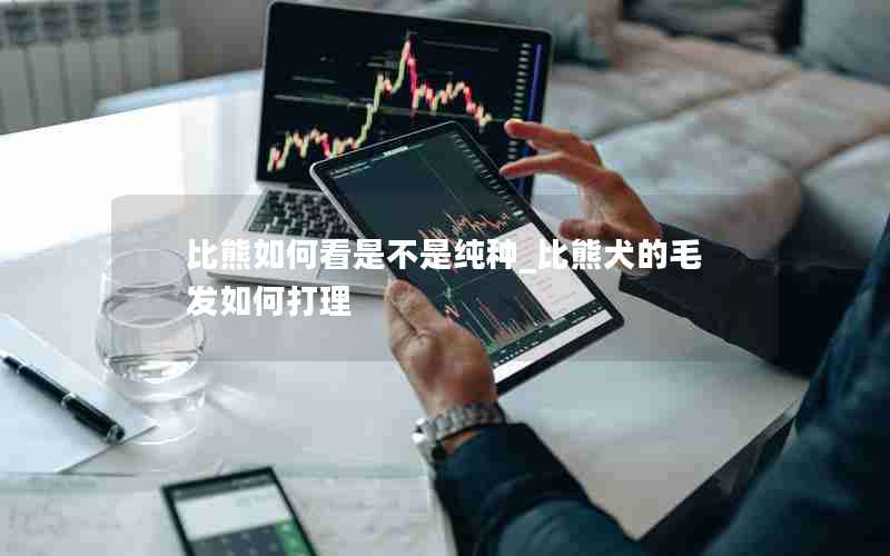 比熊如何看是不是纯种_比熊犬的毛发如何打理