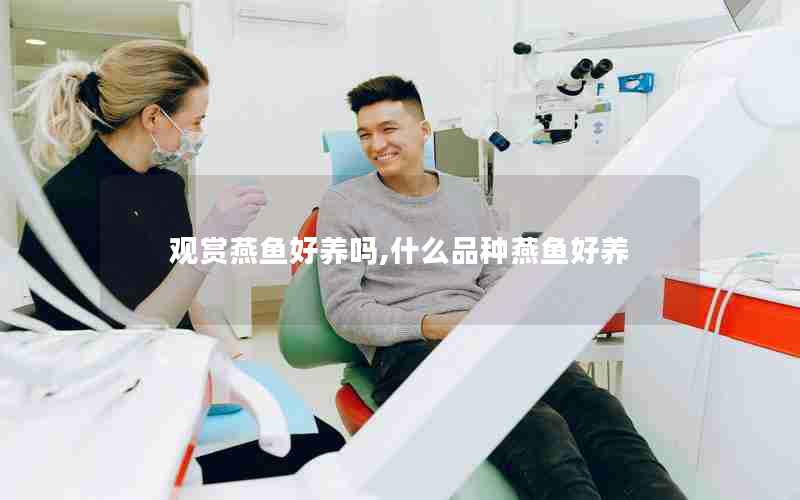 观赏燕鱼好养吗,什么品种燕鱼好养