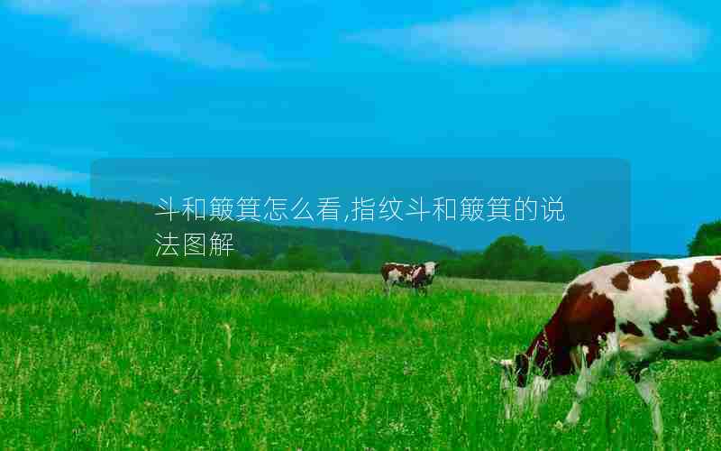 斗和簸箕怎么看,指纹斗和簸箕的说法图解