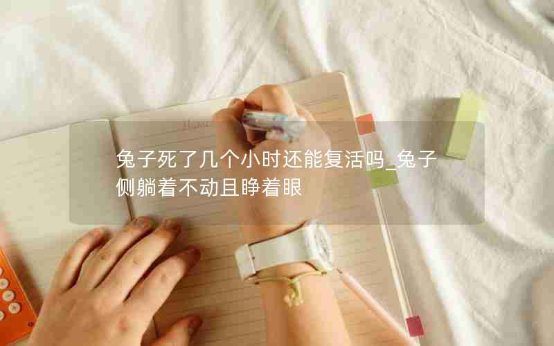 兔子死了几个小时还能复活吗_兔子侧躺着不动且睁着眼