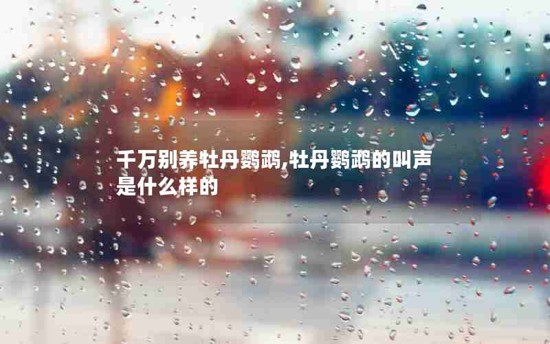 千万别养牡丹鹦鹉,牡丹鹦鹉的叫声是什么样的