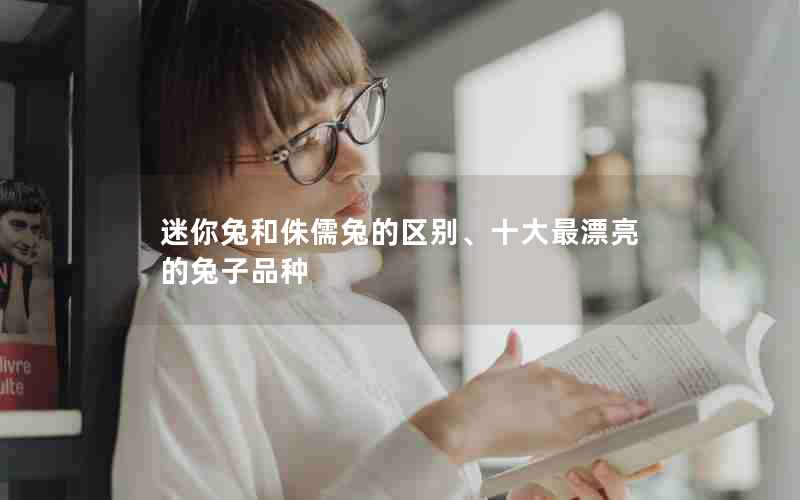 迷你兔和侏儒兔的区别、十大最漂亮的兔子品种