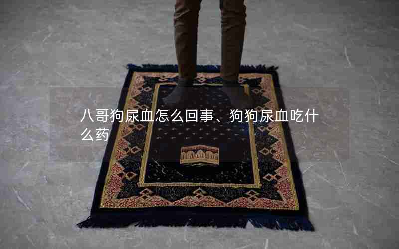 八哥狗尿血怎么回事、狗狗尿血吃什么药