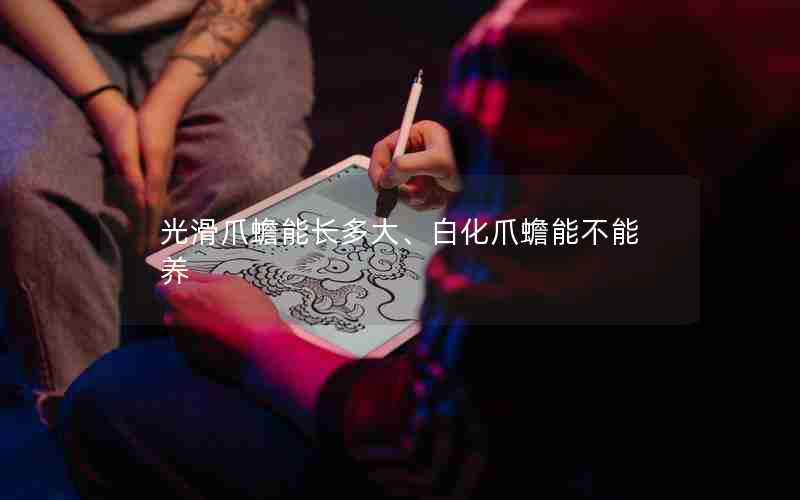 光滑爪蟾能长多大、白化爪蟾能不能养