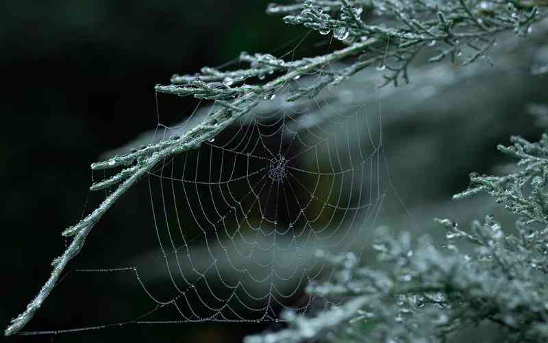 如何在微信设置头像加入国旗