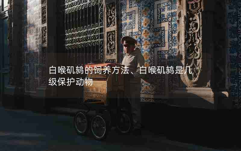 白喉矶鸫的饲养方法、白喉矶鸫是几级保护动物