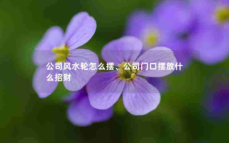 公司风水轮怎么摆、公司门口摆放什么招财