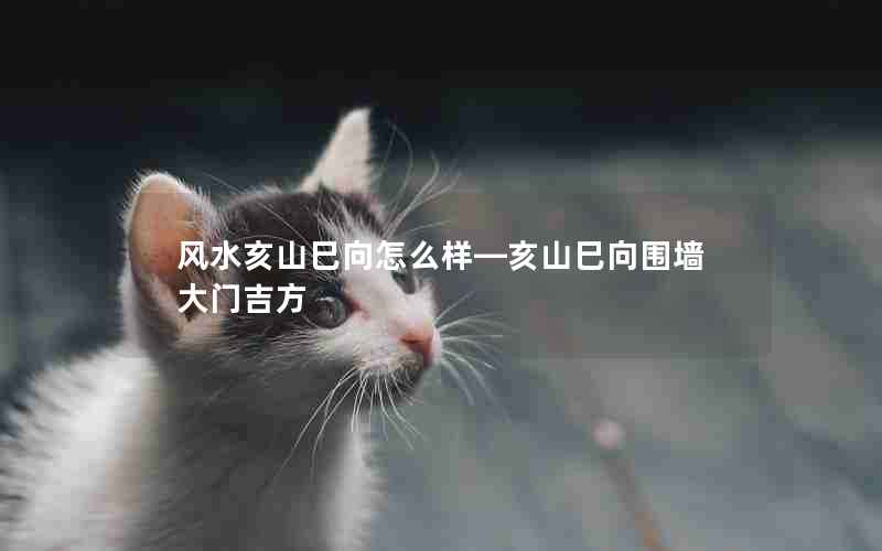 风水亥山巳向怎么样—亥山巳向围墙大门吉方