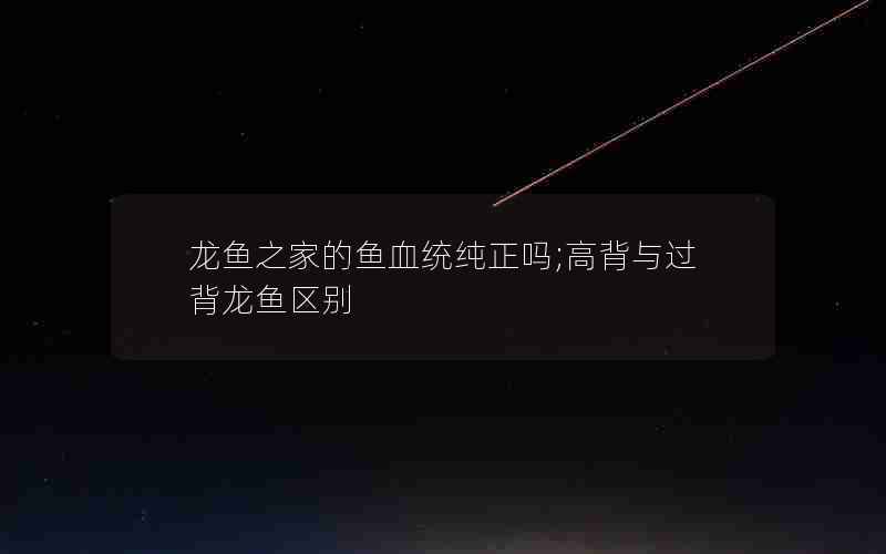 龙鱼之家的鱼血统纯正吗;高背与过背龙鱼区别