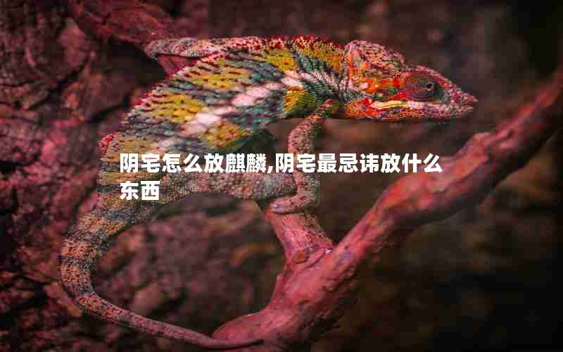 阴宅怎么放麒麟,阴宅最忌讳放什么东西