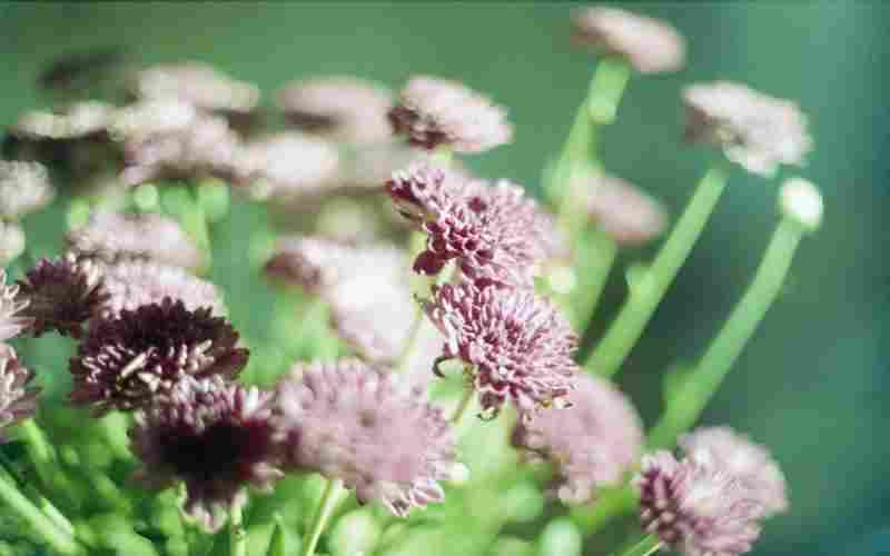 如何利用LOL录像提升游戏技术