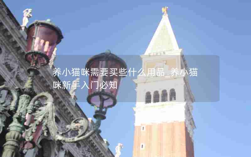 养小猫咪需要买些什么用品_养小猫咪新手入门必知