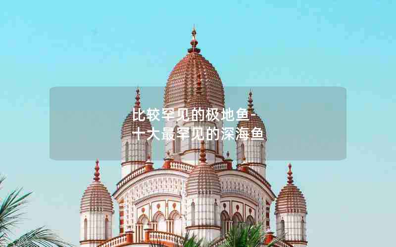 比较罕见的极地鱼-十大最罕见的深海鱼