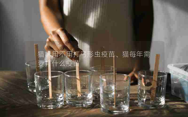 猫咪用不用打弓形虫疫苗、猫每年需要打什么疫苗