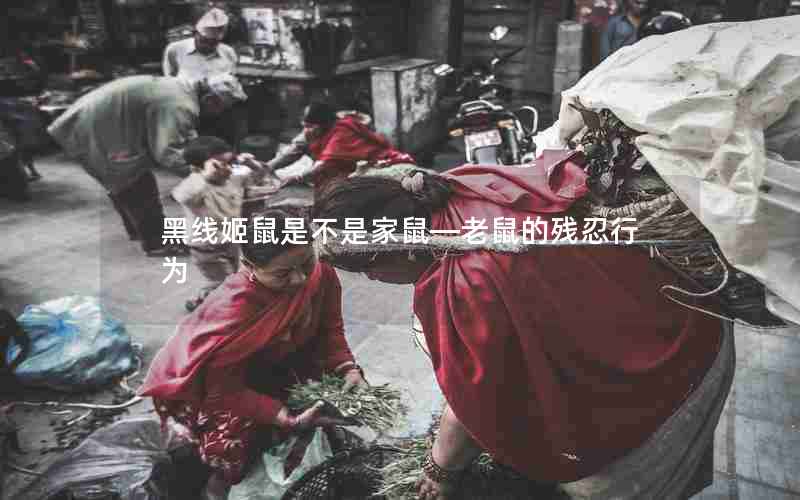 黑线姬鼠是不是家鼠—老鼠的残忍行为