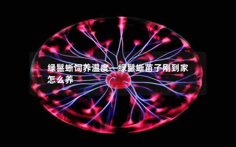 绿鬣蜥饲养温度—绿鬣蜥苗子刚到家怎么养