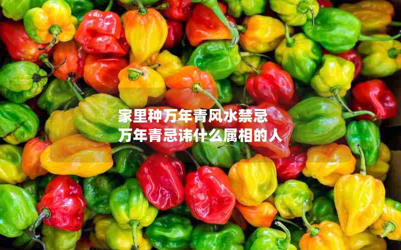 家里种万年青风水禁忌 万年青忌讳什么属相的人