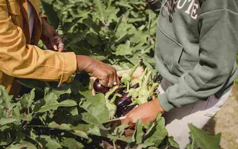 什么情况下可以申请劳动仲裁