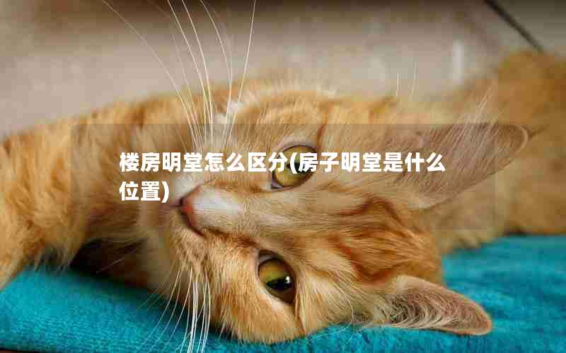 楼房明堂怎么区分(房子明堂是什么位置)