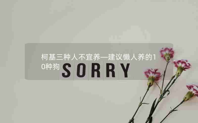 柯基三种人不宜养—建议懒人养的10种狗