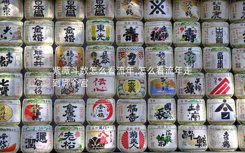 紫薇斗数怎么看流年,怎么看流年走到哪个宫