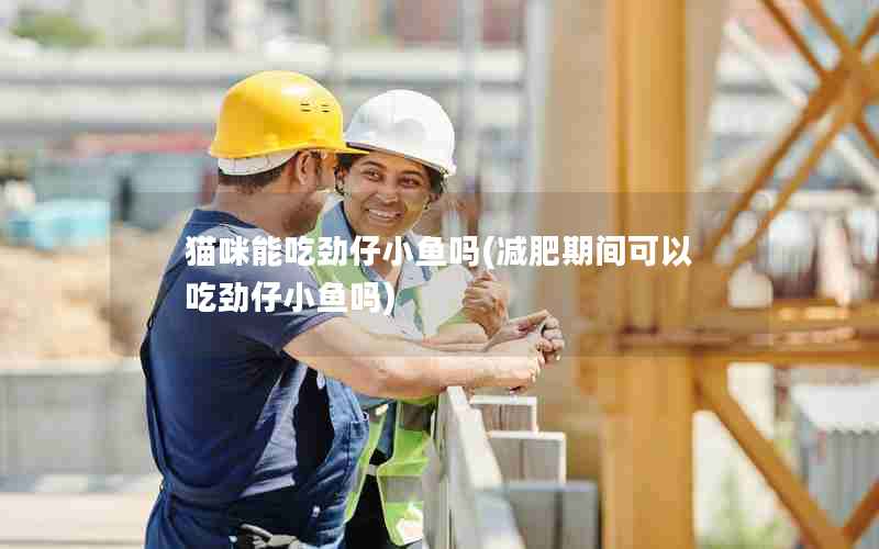 猫咪能吃劲仔小鱼吗(减肥期间可以吃劲仔小鱼吗)