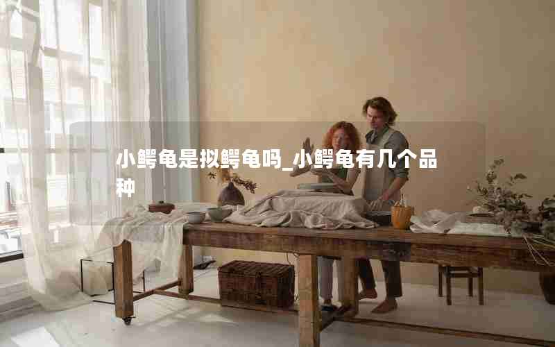 小鳄龟是拟鳄龟吗_小鳄龟有几个品种